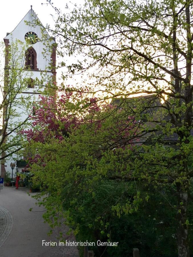 Appartment Entegast - Edles Landhausflair Zum Geniessen Schopfheim Esterno foto